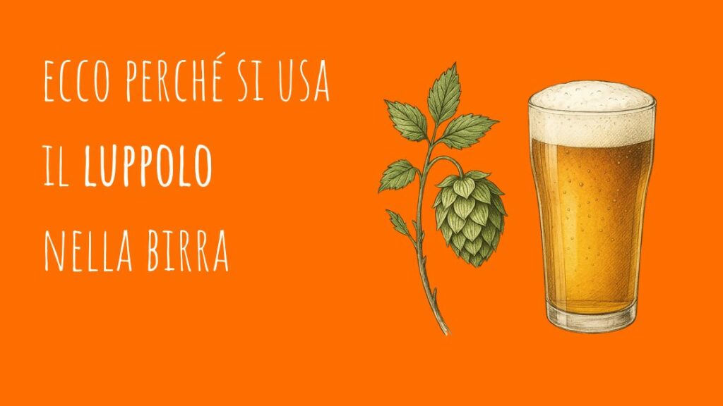 luppolo nella birra