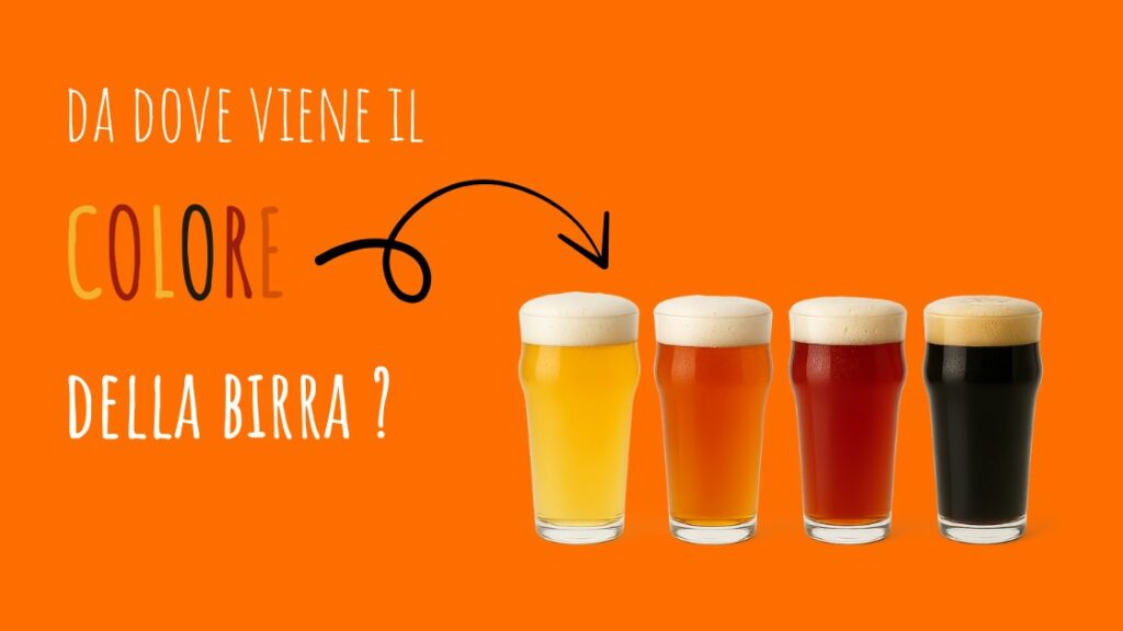 colore della birra . Blog Cover